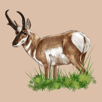 Pronghorn Urban Heavy Tee | Teevron