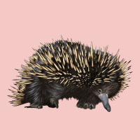 Short Beaked Echidna Urban Heavy Tee | Teevron