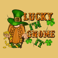 Lucky I'm Gnome It St. Patricks Day Premium Sweatshirt | Teevron