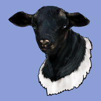 Dorper Sheep Long Sleeve Tee | Teevron