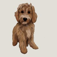 Maltipoo Heavy Core Tee | Teevron