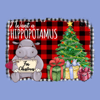 I Want Hippopotamus For Christmas Long Sleeve Tee | Teevron