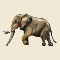 Elephant Ladies Tee | Teevron