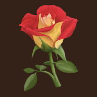 Ketchup And Mustard Rose Heavy Core Tee | Teevron