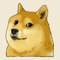 Doge Coin Shiba Dog Ladies Tee | Teevron