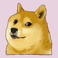 Doge Coin Shiba Dog Ladies Tee | Teevron