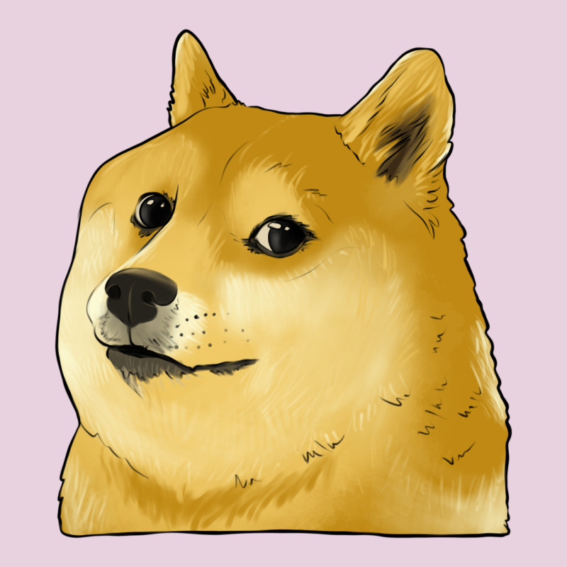 Doge Coin Shiba Dog Ladies Tee by Jasminsmagicworld | Teevron