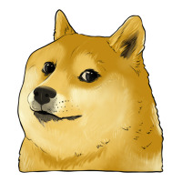doge coin shiba dog | Teevron
