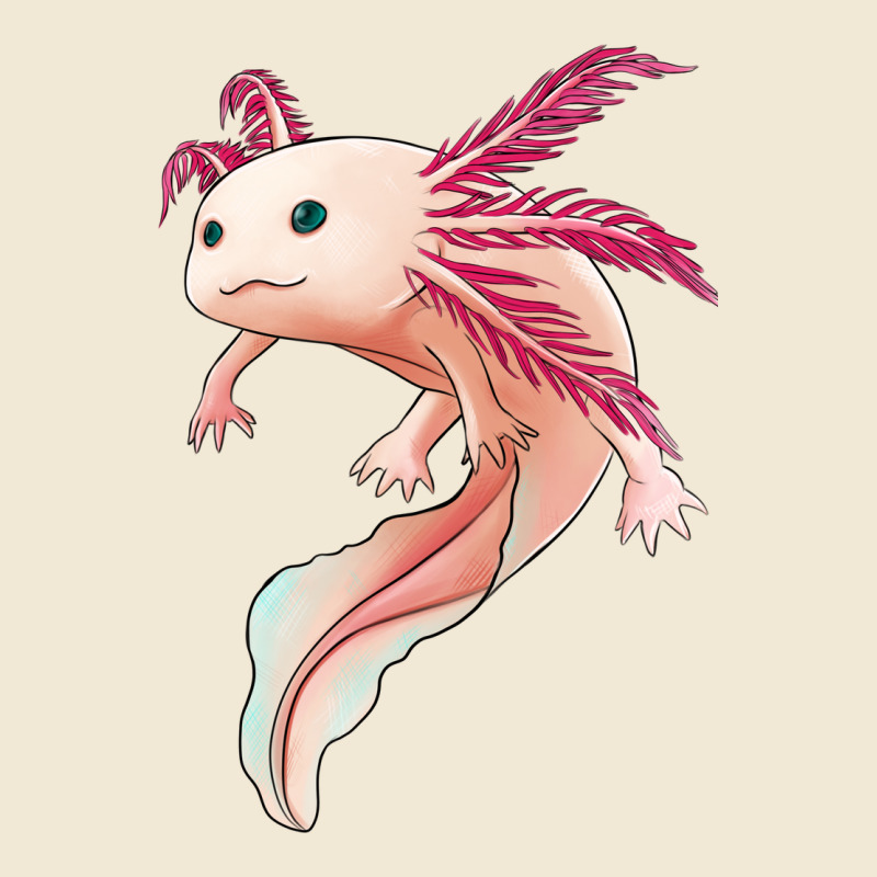 Axolotl Ladies Tee by Jasminsmagicworld | Teevron