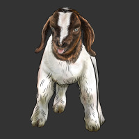 baby boer goat | Teevron
