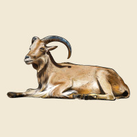 Spanish Goat Premium Tee | Teevron