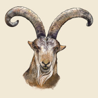 Spanish Goat Face Premium Tee | Teevron