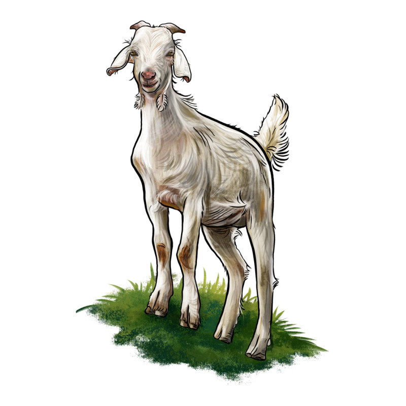 Kiko Goat Premium Tee by LillyAllenDesigns | Teevron