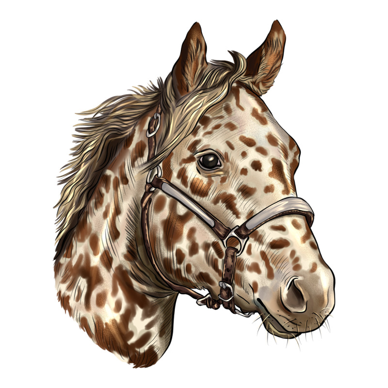 Appaloosa Horse Premium Tee by LillyAllenDesigns | Teevron