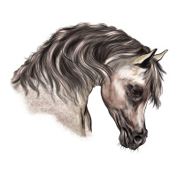 Arabian Horse Premium Tee | Teevron