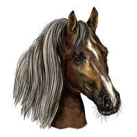 Tennessee Horse | Teevron