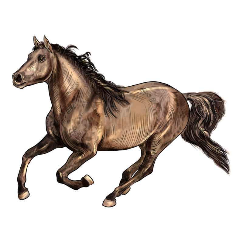 Missouri Fox Trotter Horse Premium Tee by LillyAllenDesigns | Teevron