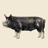 Berkshire Pig Premium Tee | Teevron