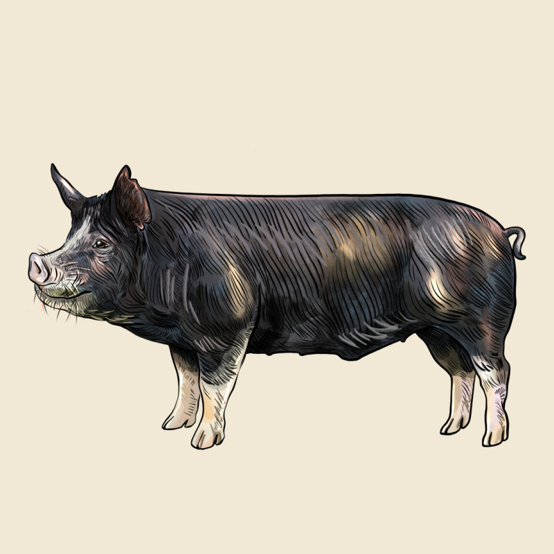 Berkshire Pig Premium Tee by LillyAllenDesigns | Teevron