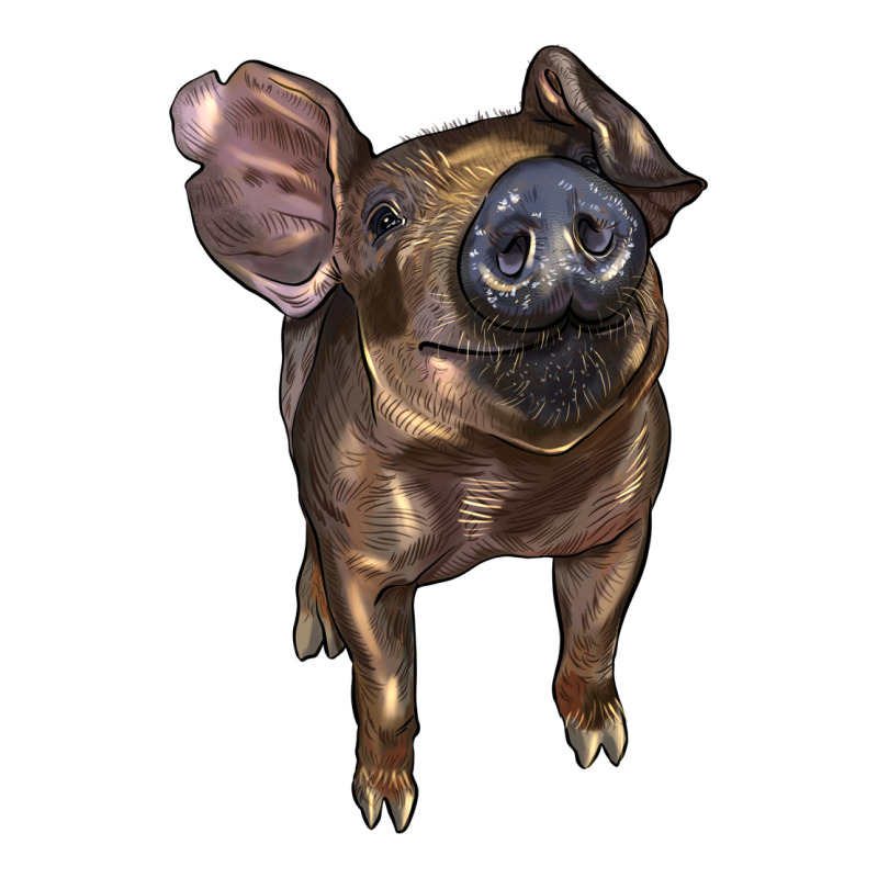 Baby Duroc Pig Premium Tee by LillyAllenDesigns | Teevron