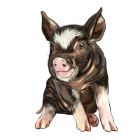 Baby Berkshire Pig Premium Tee | Teevron