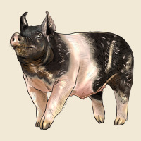 Hampshire Pig Premium Tee | Teevron