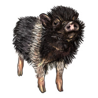 Baby Hampshire Pig Premium Tee | Teevron