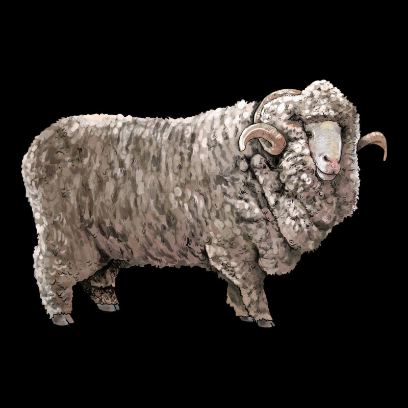 Rambouillet Sheep Premium Tee by LillyAllenDesigns | Teevron