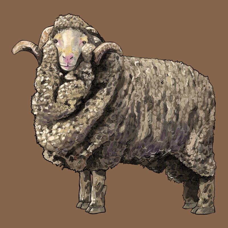 Merino Wool Sheep Premium Tee by LillyAllenDesigns | Teevron