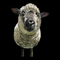 Hampshire Sheep Head Premium Tee | Teevron