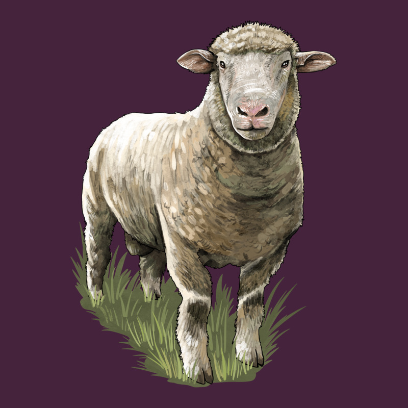 Dorset Sheep Premium Tee by LillyAllenDesigns | Teevron