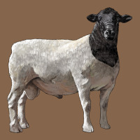 Dorper Sheep Premium Tee | Teevron