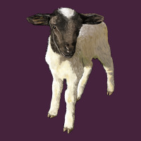 Dorper Baby Sheep Premium Tee | Teevron