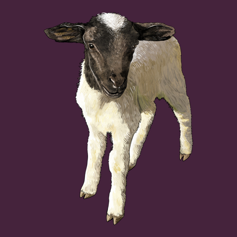 Dorper Baby Sheep Premium Tee by LillyAllenDesigns | Teevron