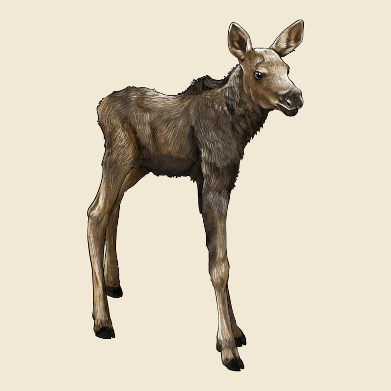 Moose Fawn Deer Premium Tee by LillyAllenDesigns | Teevron