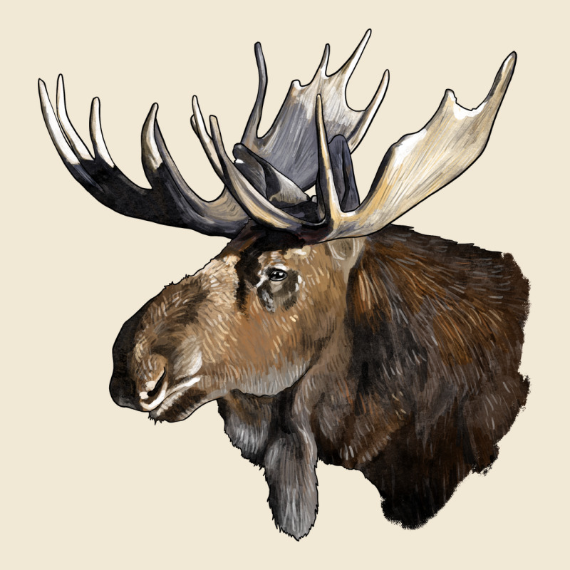 Moose Buck Deer Head Premium Tee by LillyAllenDesigns | Teevron