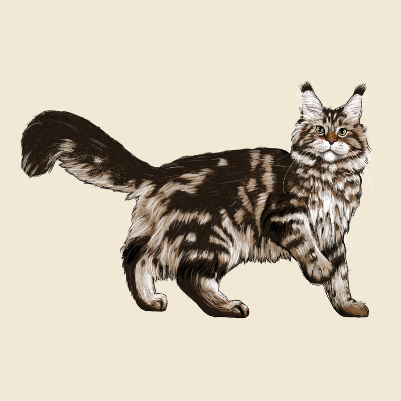 Maine Coon Cat Premium Tee by LillyAllenDesigns | Teevron