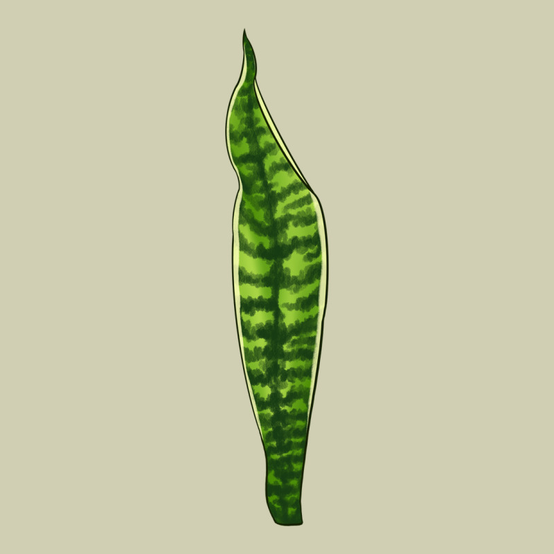 Snake Plant Heavy Core Tee by LillyAllenDesigns | Teevron