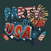 Party In The Usa Premium Sweatshirt | Teevron