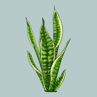 Snake Plant Heavy Core Tee | Teevron