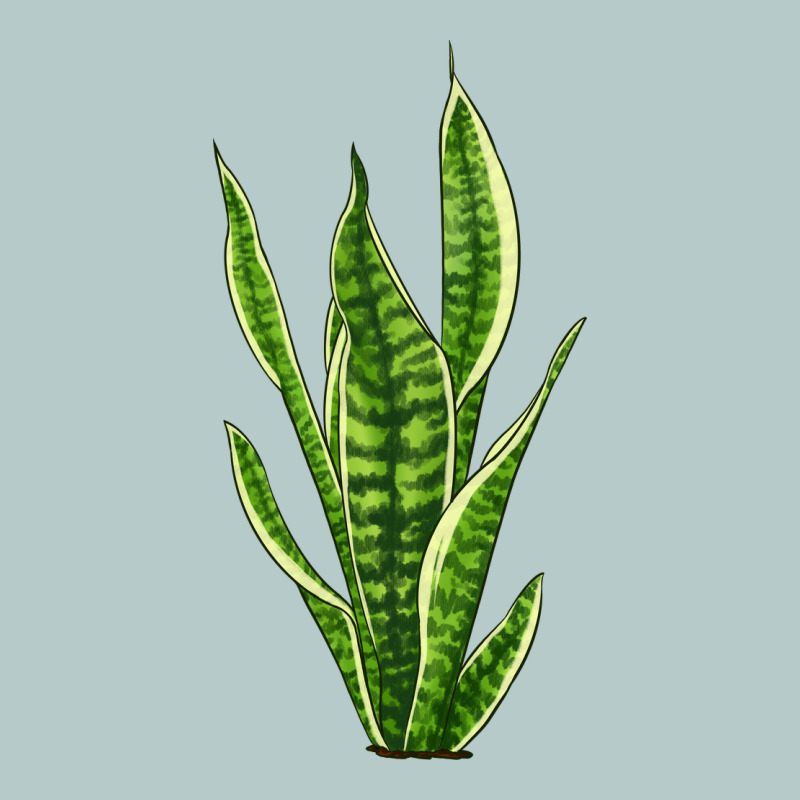 Snake Plant Heavy Core Tee by LillyAllenDesigns | Teevron