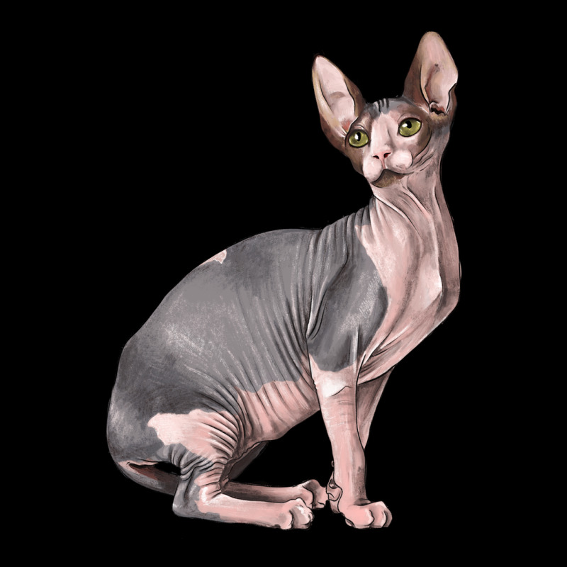 Sphynx Cat Premium Tee by LillyAllenDesigns | Teevron
