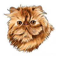 Persian Cat Face Premium Tee | Teevron