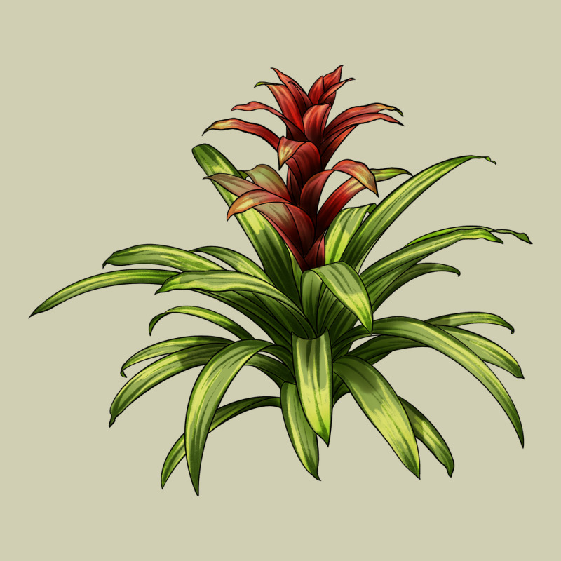 Bromeliads Heavy Core Tee by LillyAllenDesigns | Teevron