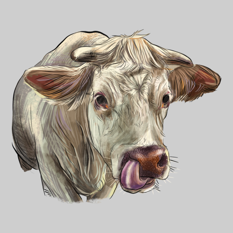 Charolais Cattle Face Premium Tee by LillyAllenDesigns | Teevron