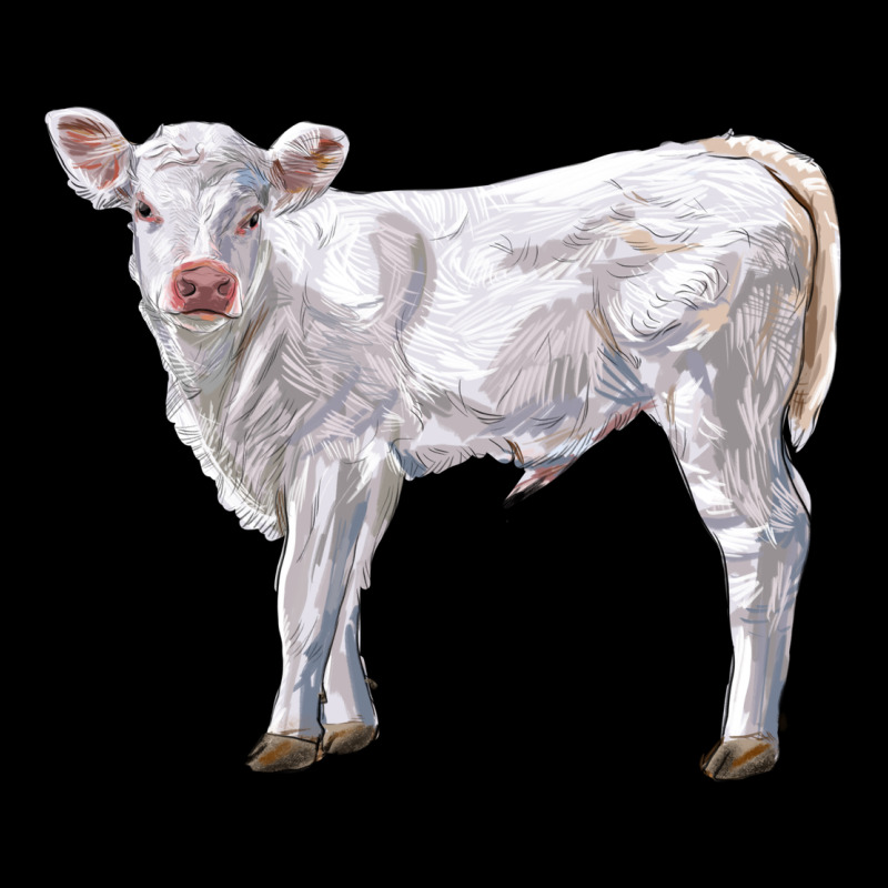 Charolais Calf Premium Tee by LillyAllenDesigns | Teevron