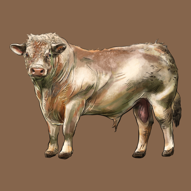 Charolais Bull Premium Tee by LillyAllenDesigns | Teevron