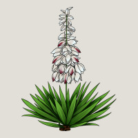 Yucca Flower Iiiustrations Heavy Core Tee | Teevron