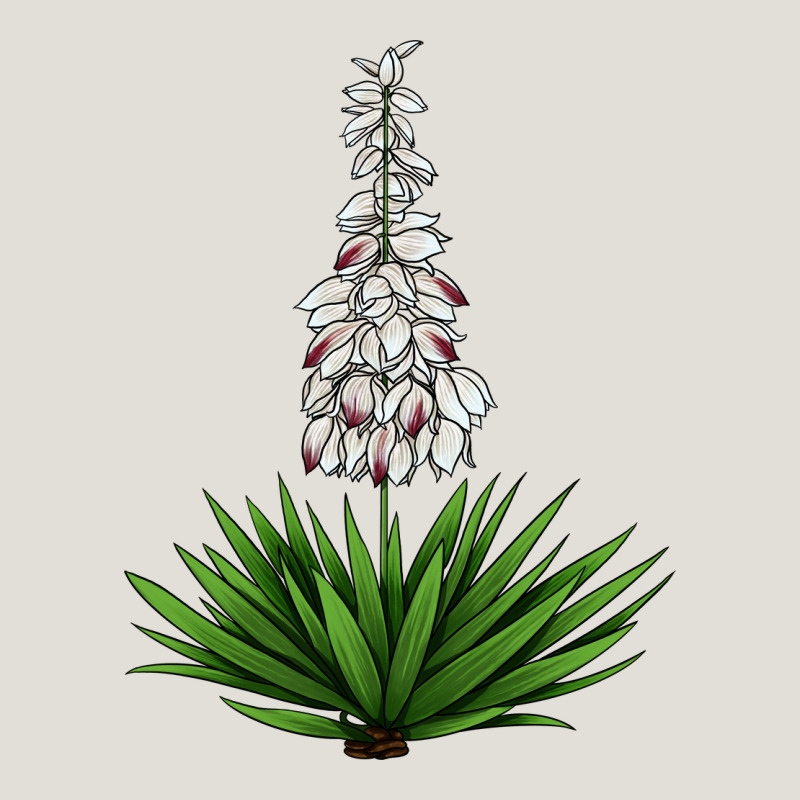 Yucca Flower Iiiustrations Heavy Core Tee by LillyAllenDesigns | Teevron