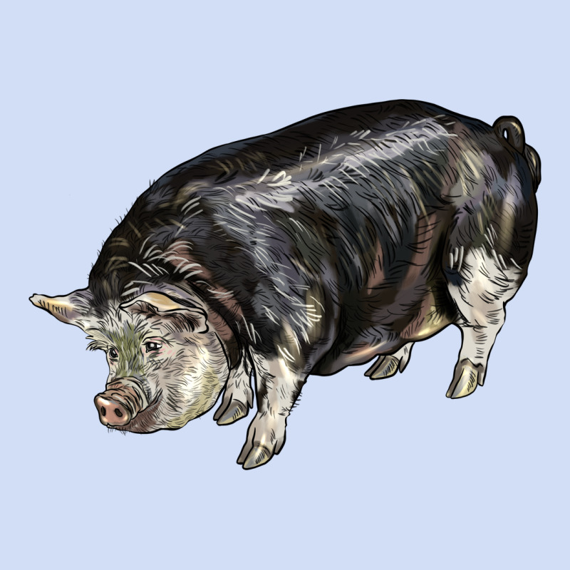 Poland China Pig Urban Hoodie by LillyAllenDesigns | Teevron